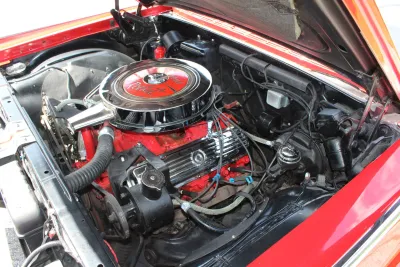 Dynamic 88
